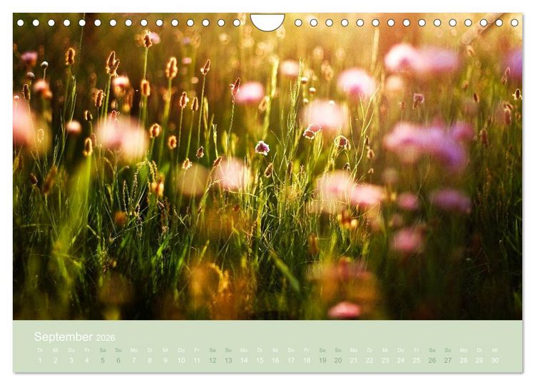 Produktbild: Zeitenwandel - Ein Jahr in der Natur (Wandkalender 2026 DIN A4 quer), CALVENDO Monatskalender