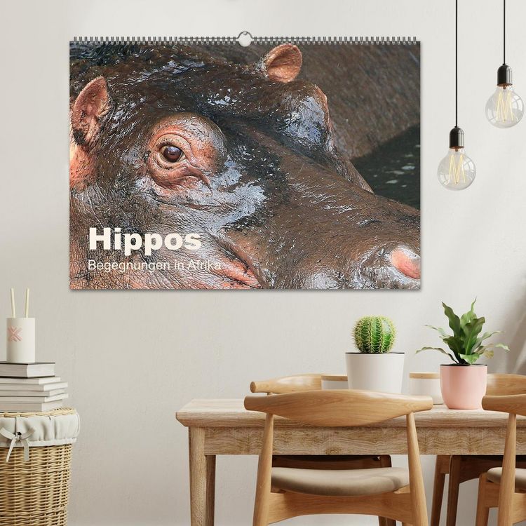 Produktbild: Hippos - Begegnungen in Afrika (Wandkalender 2026 DIN A2 quer), CALVENDO Monatskalender