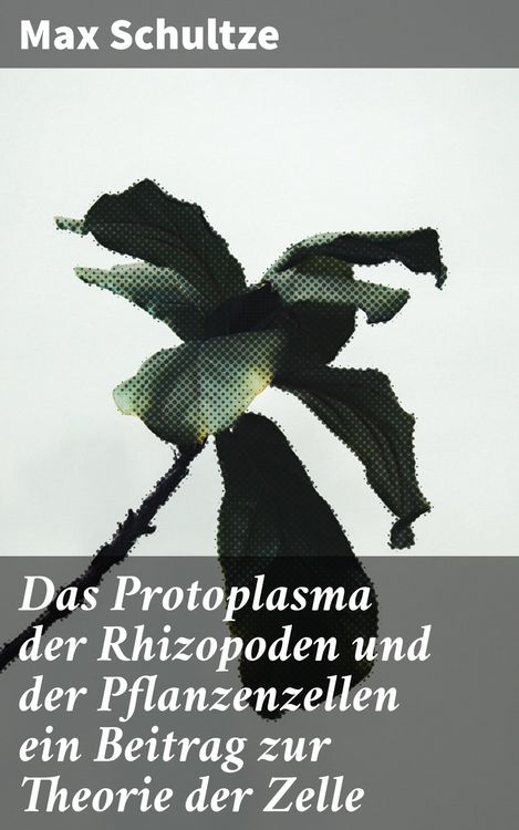 Produktbild: Das Protoplasma der Rhizopoden und der Pflanzenzellen ein Beitrag zur Theorie der Zelle
