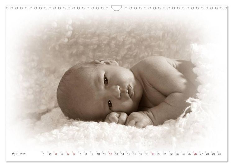 Produktbild: Babys - Willkommen im Leben (Wandkalender 2026 DIN A3 quer), CALVENDO Monatskalender