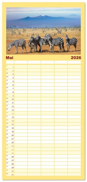 Produktbild: Familienplaner 2026 - Zebras - Die gestreiften Vierbeiner. mit 5 Spalten (Wandkalender, 21 x 45 cm) CALVENDO