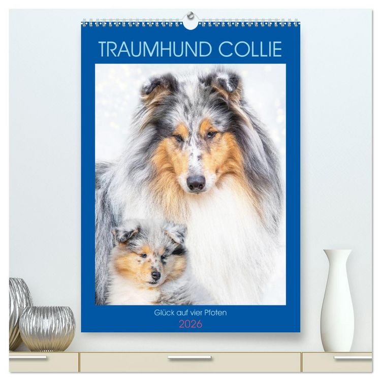 Produktbild: Traumhund Collie - Gl&uuml;ck auf vier Pfoten (hochwertiger Premium Wandkalender 2026 DIN A2 hoch), Kunstdruck in Hochglanz