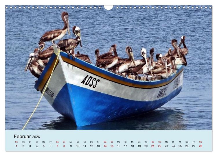 Produktbild: Venezuela - Natur pur Orinoco Delta und die Anden (Wandkalender 2026 DIN A3 quer), CALVENDO Monatskalender