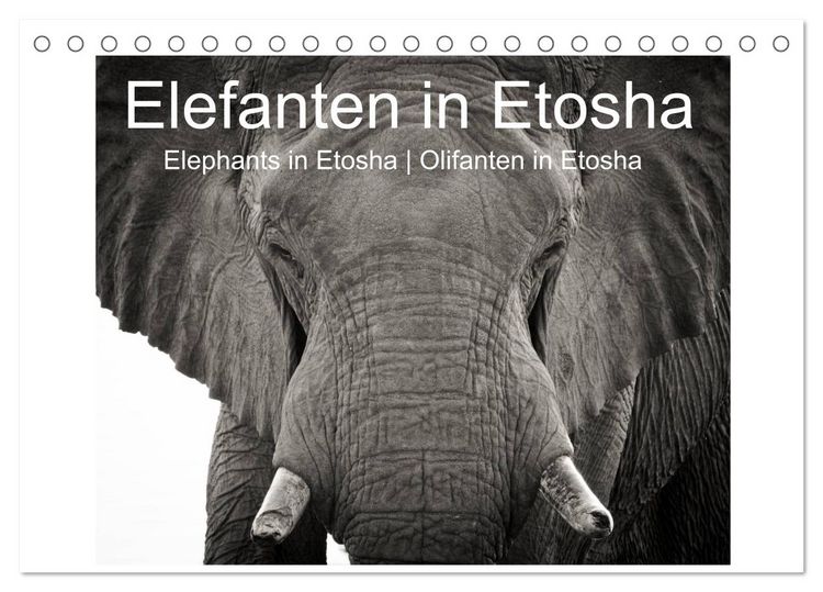 Produktbild: Elefanten in Etosha (Tischkalender 2026 DIN A5 quer), CALVENDO Monatskalender