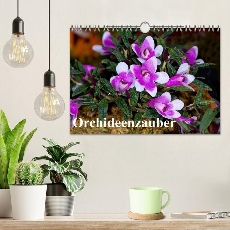 Produktbild: Orchideenzauber (Wandkalender 2026 DIN A4 quer), CALVENDO Monatskalender