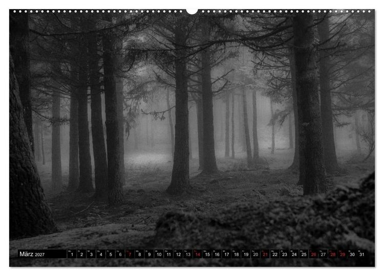 Produktbild: Stille Momente in Schwarz-Weiss (hochwertiger Premium Wandkalender 2027 DIN A2 quer), Kunstdruck in Hochglanz