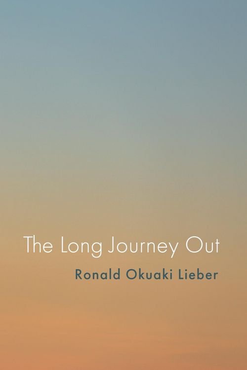 Produktbild: The Long Journey Out