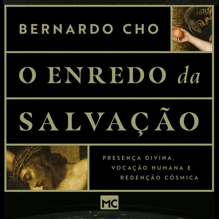 Produktbild: O enredo da salva&ccedil;&atilde;o