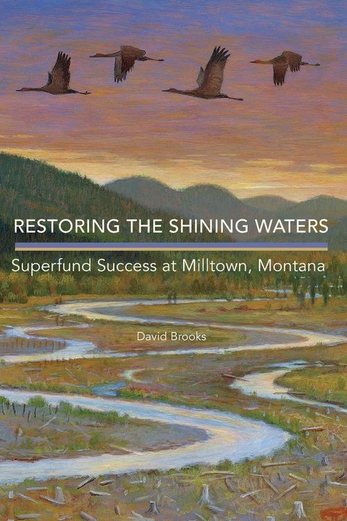 Produktbild: Restoring the Shining Waters