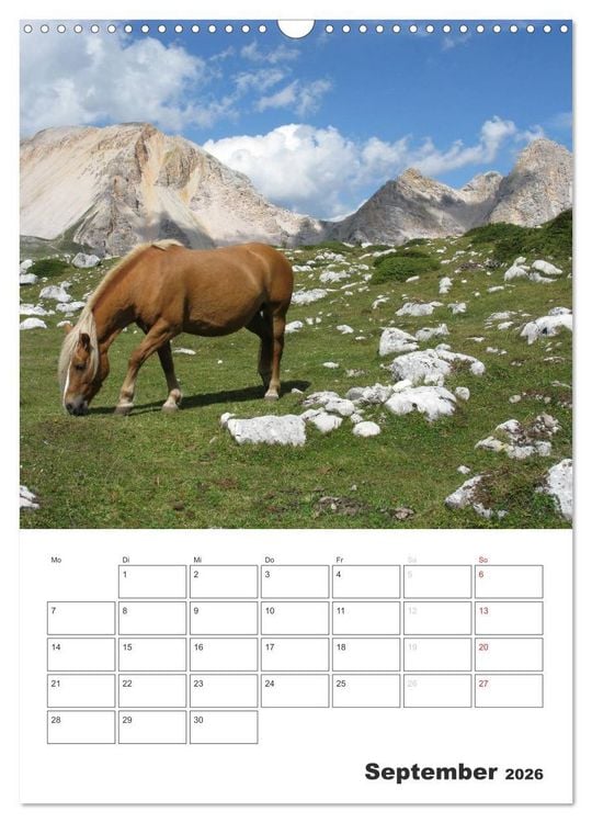 Produktbild: Alta Badia &ndash; Traumlandschaft f&uuml;r Bergsteiger und Wanderer (Wandkalender 2026 DIN A3 hoch), CALVENDO Monatskalender