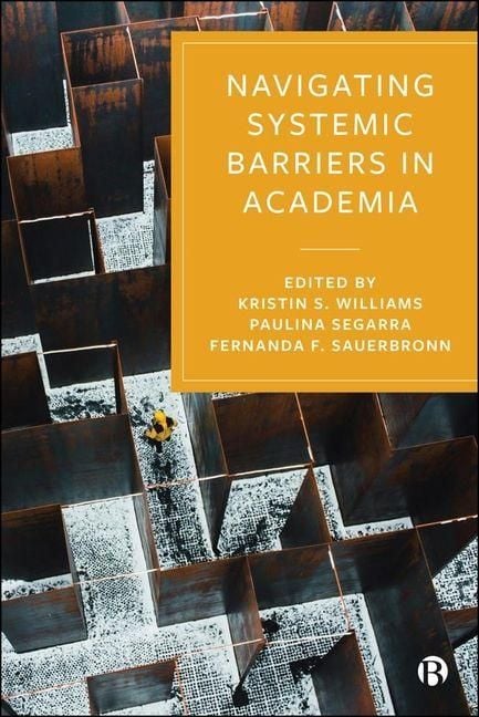 Produktbild: Navigating Systemic Barriers in Academia