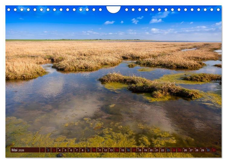 Produktbild: D&auml;nemark - J&uuml;tland & Kopenhagen, Impressionen aus dem hohen Norden (Wandkalender 2026 DIN A4 quer), CALVENDO Monatskalender