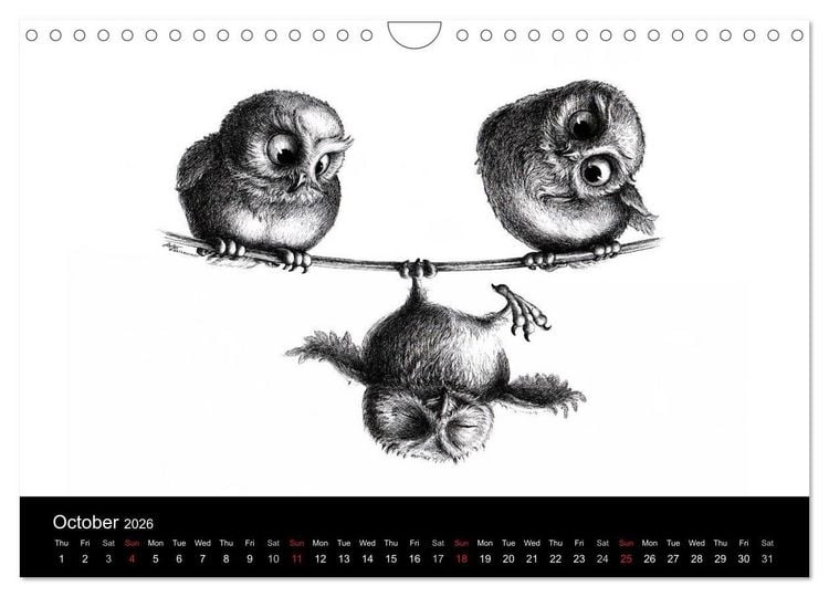 Produktbild: owls & friends 2026 (Wall Calendar 2026 DIN A4 landscape), CALVENDO 12 Month Wall Calendar