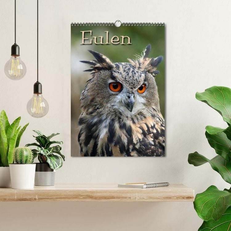 Produktbild: Eulen (Wandkalender 2026 DIN A3 hoch), CALVENDO Monatskalender