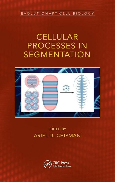 Produktbild: Cellular Processes in Segmentation