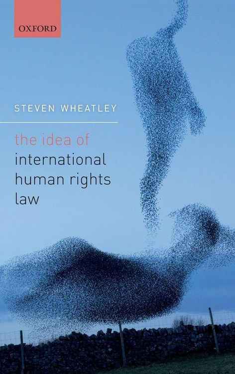 Produktbild: Idea of International Human Rights Law