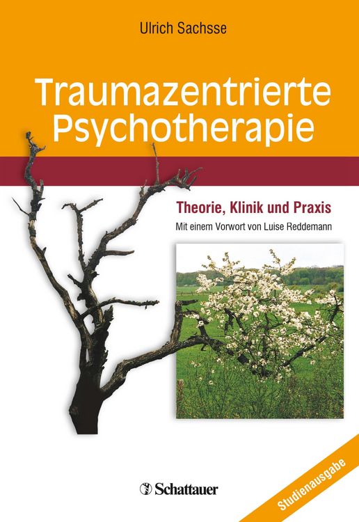Produktbild: Traumazentrierte Psychotherapie