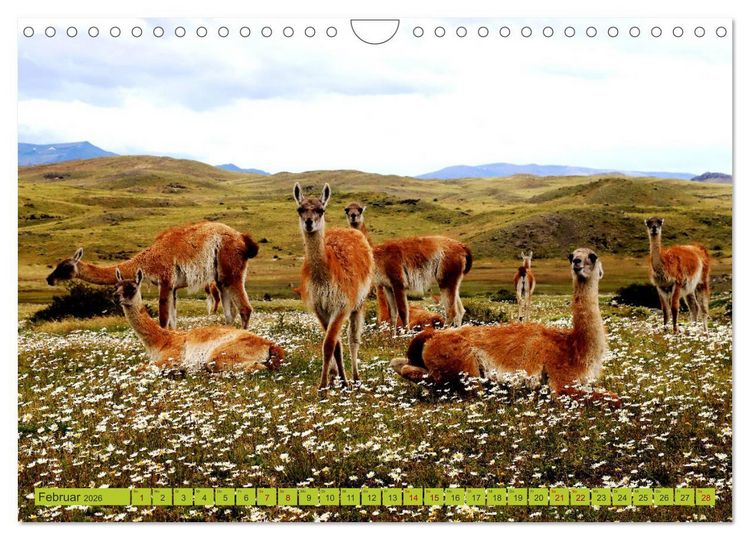 Produktbild: M&auml;rchenwelt Patagonien (Wandkalender 2026 DIN A4 quer), CALVENDO Monatskalender