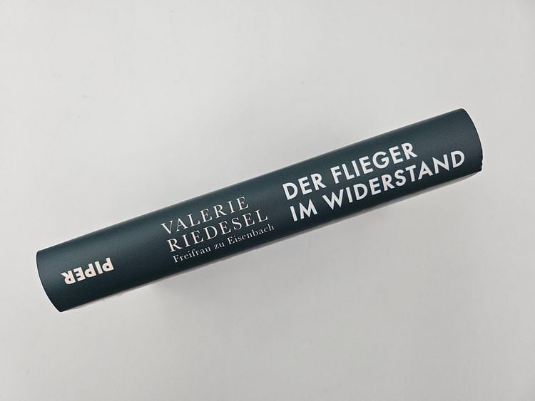 Produktbild: Der Flieger im Widerstand