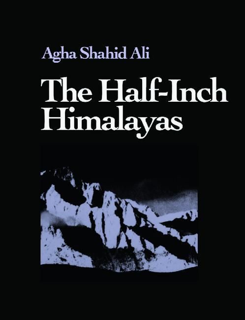 Produktbild: The Half-Inch Himalayas