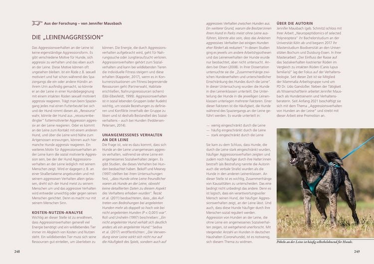 Produktbild: Beziehung, Erziehung, Bindung