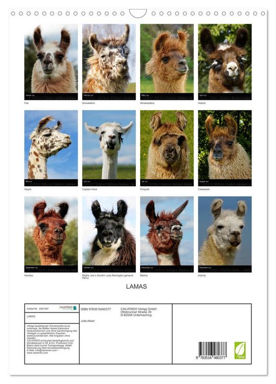 Produktbild: LAMAS (Wandkalender 2026 DIN A3 hoch), CALVENDO Monatskalender