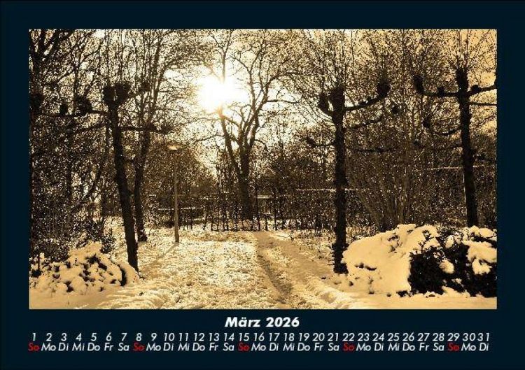 Produktbild: B&auml;ume 2026 Fotokalender DIN A5