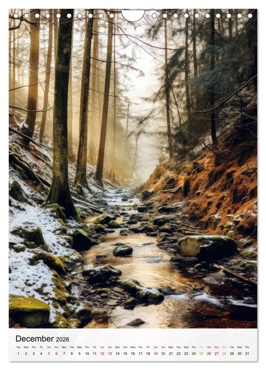 Produktbild: Dreamscapes of the Forest (Wall Calendar 2026 DIN A4 portrait), CALVENDO 12 Month Wall Calendar