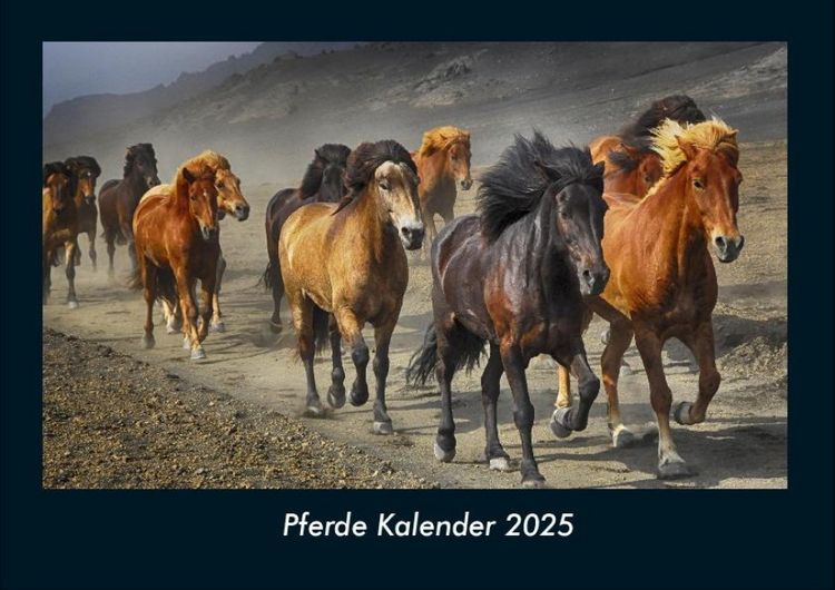 Produktbild: Pferde Kalender 2025 Fotokalender DIN A4