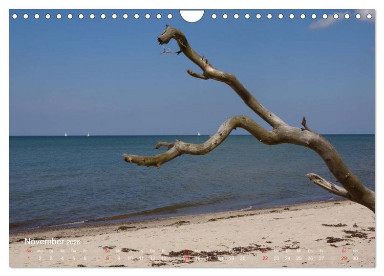 Produktbild: Anblicke und Ausblicke auf Fischland Dar&szlig; (Wandkalender 2026 DIN A4 quer), CALVENDO Monatskalender
