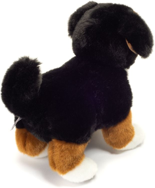 Teddy-Hermann - Berner Sennenhund Welpe stehend 23 cm