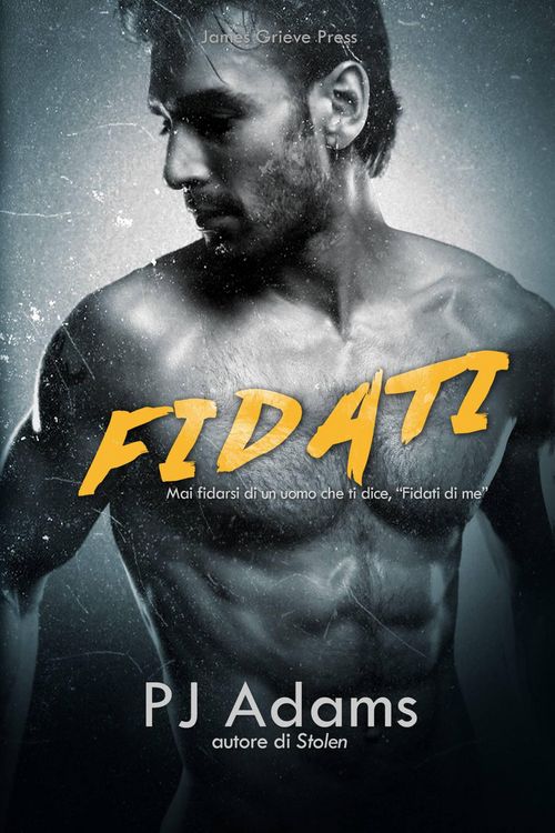 Produktbild: Fidati (The Bailey Boys, #1)
