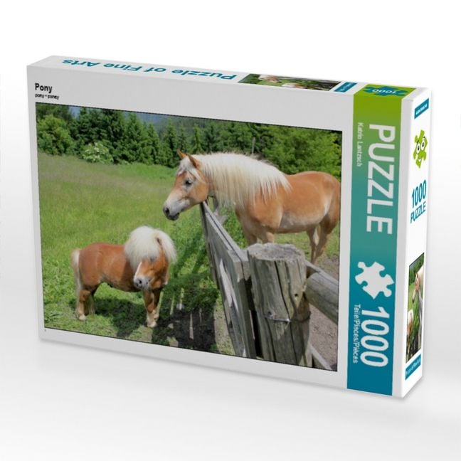 Produktbild: CALVENDO Puzzle Pony | 1000 Teile Lege-Gr&ouml;&szlig;e 64x48cm Foto-Puzzle f&uuml;r gl&uuml;ckliche Stunden