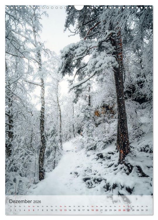 Produktbild: Winter Spaziergang (Wandkalender 2026 DIN A3 hoch), CALVENDO Monatskalender