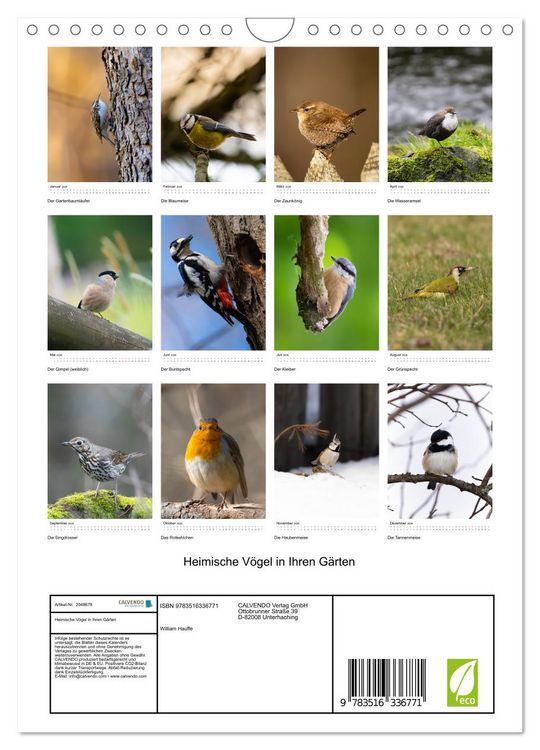 Produktbild: Heimische V&ouml;gel in Ihren G&auml;rten (Wandkalender 2026 DIN A4 hoch), CALVENDO Monatskalender