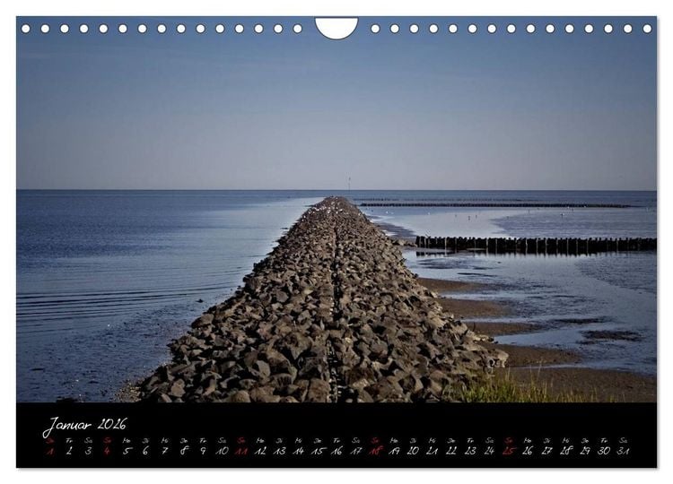 Produktbild: Friedrichskoog Buhnen und Salzwiesen (Wandkalender 2026 DIN A4 quer), CALVENDO Monatskalender