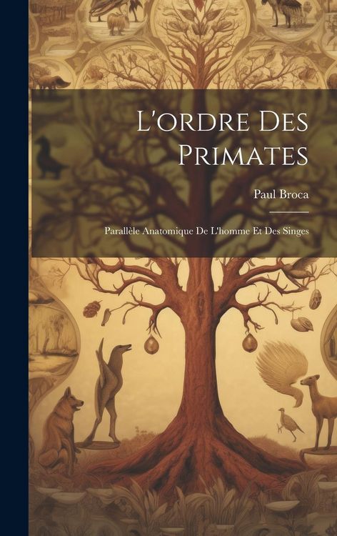 Produktbild: L'ordre Des Primates: Parall&egrave;le Anatomique De L'homme Et Des Singes