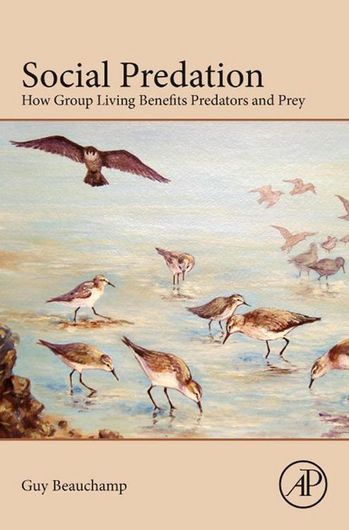 Produktbild: Social Predation