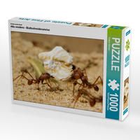 Produktbild: CALVENDO Puzzle Atta sexdens - Blattschneiderameise 1000 Teile Lege-Gr&ouml;&szlig;e 64 x 48 cm Foto-Puzzle Bild von Roland St&ouml;rmer