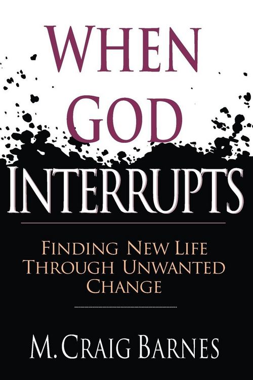 Produktbild: When God Interrupts