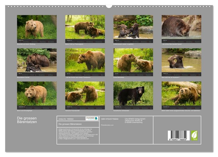 Produktbild: Die grossen B&auml;rentatzen (hochwertiger Premium Wandkalender 2026 DIN A2 quer), Kunstdruck in Hochglanz