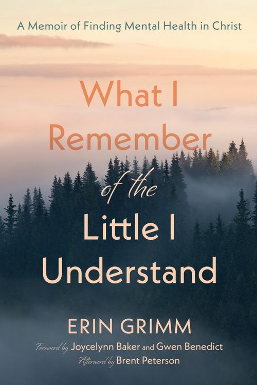 Produktbild: What I Remember of the Little I Understand