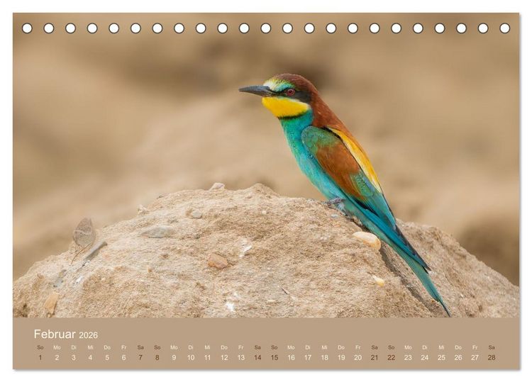 Produktbild: Jenseits der Z&auml;une (Tischkalender 2026 DIN A5 quer), CALVENDO Monatskalender