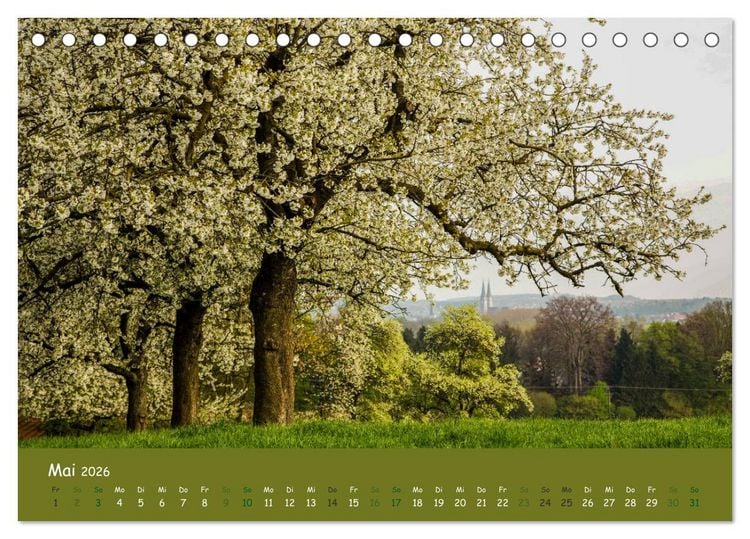 Produktbild: Steink&auml;uze (Athene noctua) (Tischkalender 2026 DIN A5 quer), CALVENDO Monatskalender