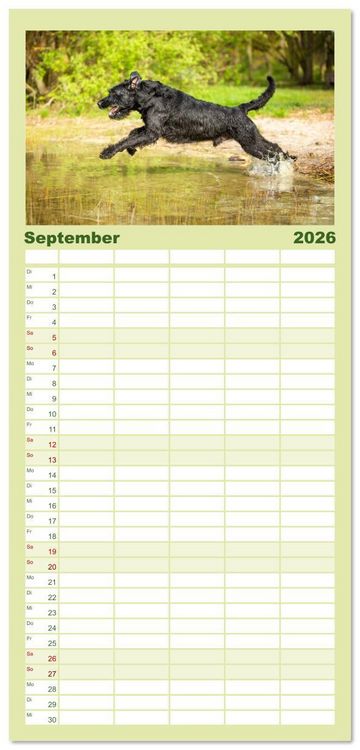 Produktbild: Familienplaner 2026 - Mit dem Riesenschnauzer durch das Jahr mit 5 Spalten (Wandkalender, 21 x 45 cm) CALVENDO