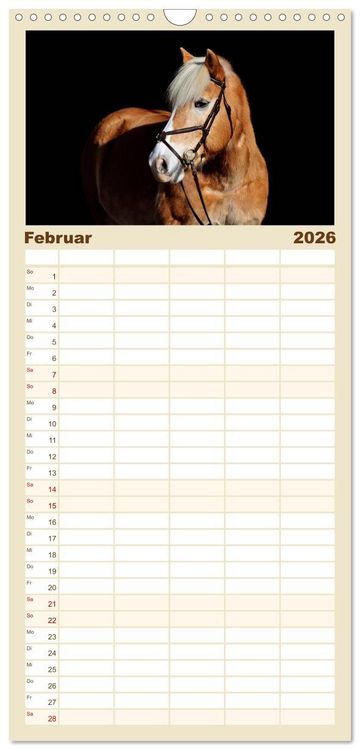 Produktbild: Familienplaner 2026 - Haflinger mit 5 Spalten (Wandkalender, 21 x 45 cm) CALVENDO