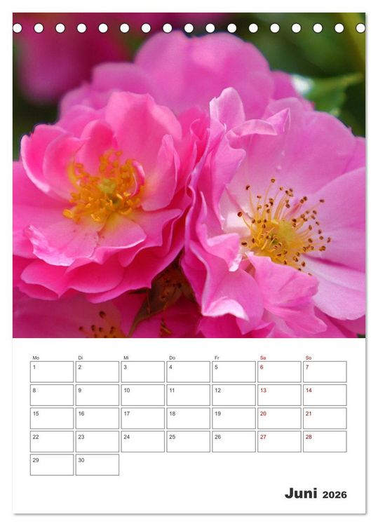 Produktbild: BL&Uuml;TENZAUBER (Tischkalender 2026 DIN A5 hoch), CALVENDO Monatskalender