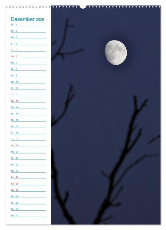 Produktbild: Wunderbarer Spreewald (Wandkalender 2026 DIN A2 hoch), CALVENDO Monatskalender