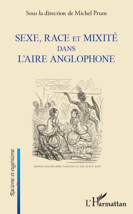 Produktbild: Sexe, race et mixit&eacute; dans l'aire anglophone