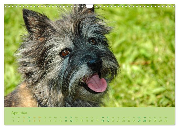 Produktbild: Cairns Forever (Wandkalender 2026 DIN A3 quer), CALVENDO Monatskalender